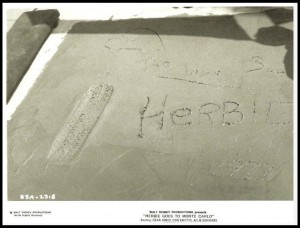 Herbie Tire marks in cement