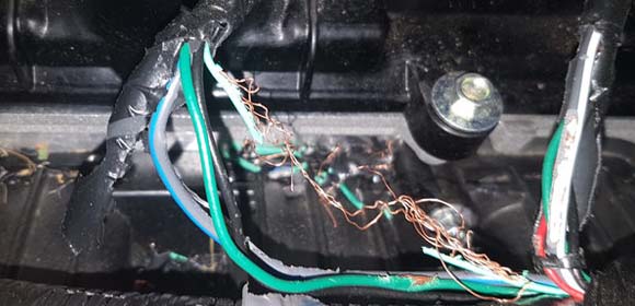 Kia Wiring Harness Rodent Damage from citroenvie.com